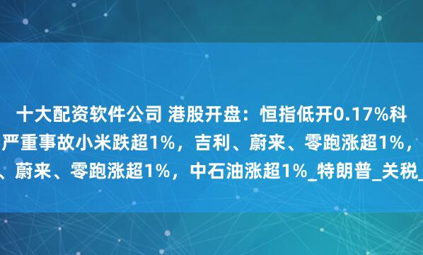十大配资软件公司 港股开盘：恒指低开0.17%科指跌0.16%！小米SU7严重事故小米跌超1%，吉利、蔚来、零跑涨超1%，中石油涨超1%_特朗普_关税_指数